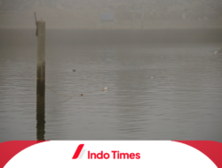 BMKG Minta Warga Hati-hati, Fenomena Kabut Tebal di Pantai Gunungkidul Membuat Masyarakat Resah