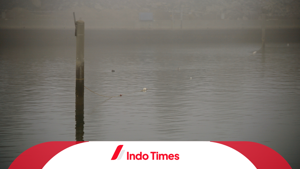 BMKG Minta Warga Hati-hati, Fenomena Kabut Tebal di Pantai Gunungkidul Membuat Masyarakat Resah