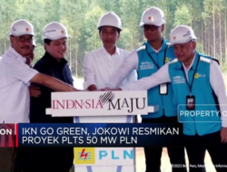 Jokowi Meresmikan Proyek PLTS 50 MW PLN dalam Upaya IKN Go Green