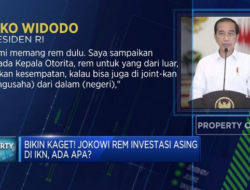 Penghentian Tiba-Tiba Investasi Asing di IKN, Ada Apa Sebenarnya?