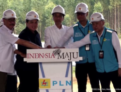 Jokowi Resmikan Proyek PLTS 50 MW PLN untuk Mendorong IKN Menuju Lingkungan yang Lebih Hijau