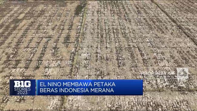 El Nino pada Tahun 2023 Menyebabkan Bencana, Bagaimana Dampaknya Terhadap Produksi Beras?