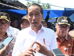 Penyebab Mahalnya Harga Beras Menurut Jokowi