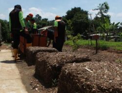 Mengintip Transformasi Sampah Kali Ciliwung Menjadi Pupuk dan Bahan Bakar