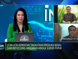 Video: Kendala Produksi Beras di Indonesia Akibat Masalah Lahan dan Kesejahteraan Petani