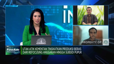 Video: Kendala Produksi Beras di Indonesia Akibat Masalah Lahan dan Kesejahteraan Petani