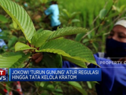 Video: Tata kelola Kratom dan Konflik Militer antara China dan Filipina di LCS