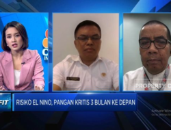 Bahu-mebahu Bersama Bapanas dan BRIN Menghadapi Dampak El Nino, Tetap Mempertahankan Stok Pangan