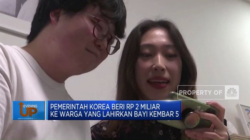 Pemerintah Korea Memberikan Rp 2 Juta kepada Orangtua Bayi Kembar 5