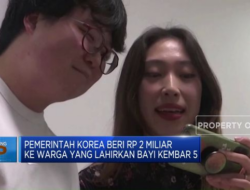 Pemerintah Korea Memberikan Rp 2 Juta kepada Orangtua Bayi Kembar 5