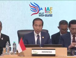 Kengerian Banyak Korban Jiwa yang Disebut Jokowi di Hadapan Pimpinan Dunia