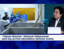 “Strategi KKP: RI Incar Posisi 10 Besar Eksportir Perikanan”