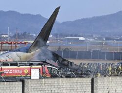 “Serangan Burung dan Kecelakaan Jeju Air: Fakta Terbaru”