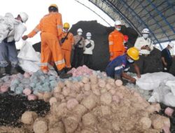 “Mantap! Limbah Uang Kertas BI Sebagai Bahan Bakar PLN”