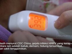 Penemuan hMPV Mirip Covid – Wawasan Menjanjikan