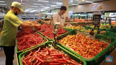 “Rahasia Cabai Surplus dan Harga Menggila Terbongkar!”