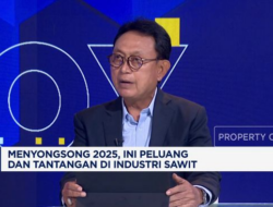 “Peluang Industri Sawit di 2025: Wawasan dan Prospek Bisnis”