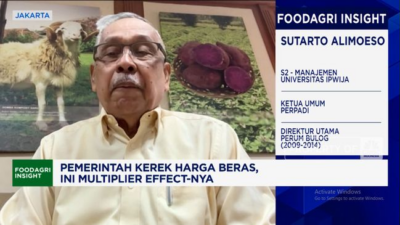 “Terbongkar: Prabowo Naikkan HPP Gabah Rp500/Kg”