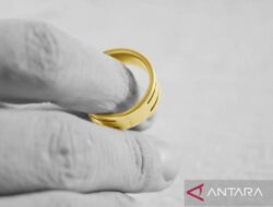 Perbedaan Cincin Tunangan dan Cincin Nikah: Temuan Menarik