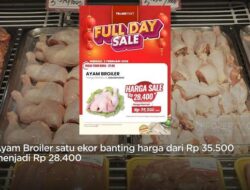 Serbu Ayam Broiler di Transmart: Penemuan Harga Terbaik!
