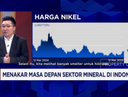 Masa Depan Sektor Mineral Indonesia: Peluang dan Tantangan