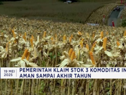 Driver Ojol: Aturan Baru Bakal Gagalkan Aplikasi