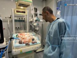 Derita Bayi Prematur di Gaza: Pertarungan di Inkubator