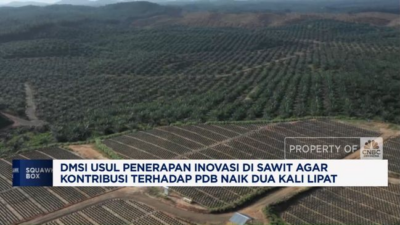 Strategi DMSI untuk Meningkatkan Sumbangan Sawit ke PDB
