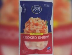 Berita Terbaru: Udang Beku RI Ditarik dari Pasar AS