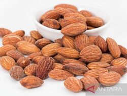 7 Manfaat Tepung Almond untuk Kesehatan: Gluten Free Benefits!