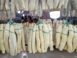 8 Manfaat Tape Singkong dan Efek Sampingnya: Informasi Terbaru