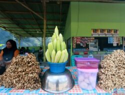 7 Manfaat Air Rebusan Jagung yang Jarang Diketahui