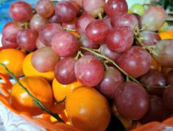 10 Makanan Super untuk Tingkatkan Daya Tahan Tubuh