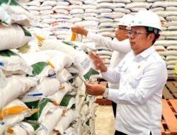 Analisis Surplus Beras RI: Bos Bapanas Harus Waspada